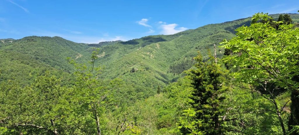 Il panorama dal nuovo Sentiero dei mulini, nei pressi di Pontassieve (FI)