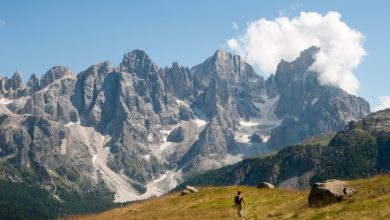 Il panorama sulle Pale di San Martino con la Cima-Vezzana e il Cimon della Pala. Foto Cesare Re