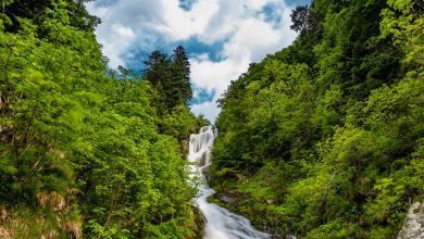 La Cascata del Saut, lungo l'anello del Pis del Pesio.@ Adobe Stock