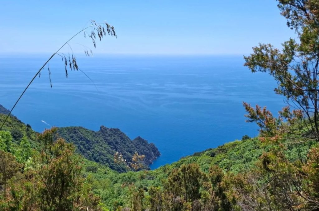 La vista dai sentieri del Parco. Foto FB Parco di Portofino
