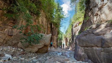 Nel canyon del Bletterbach @ GEOPARC Bletterbach