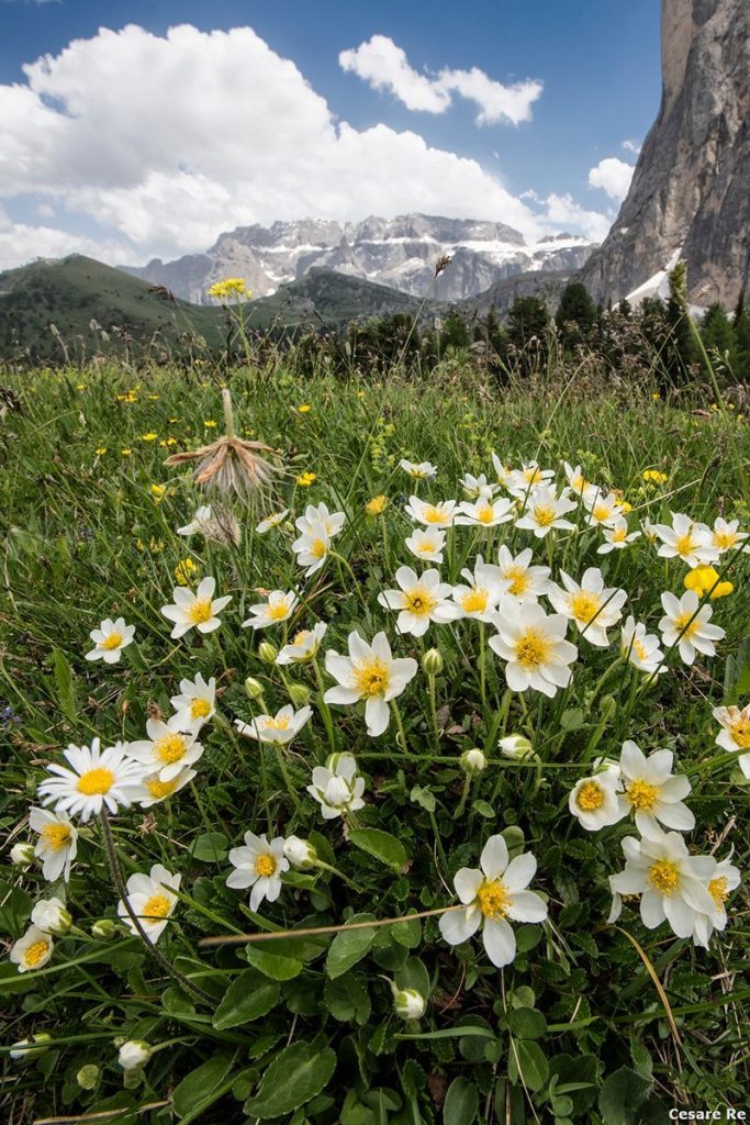 Il Sella, visto dall