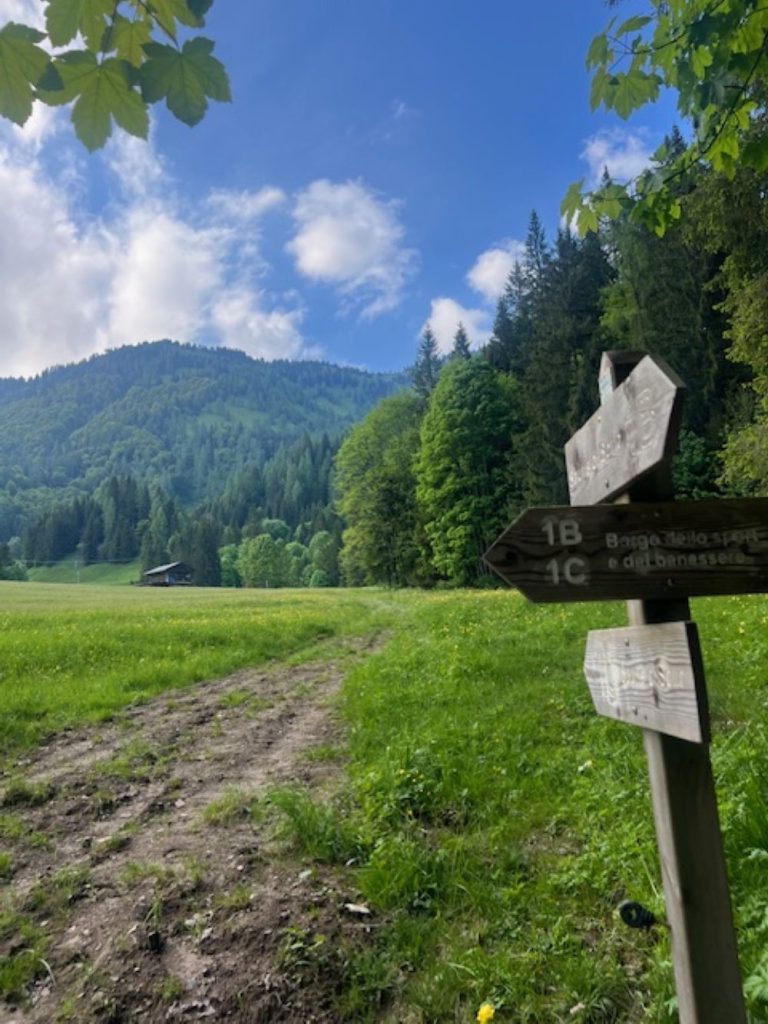 Lungo il nuovo sentierro di Sauris (UD). Foto Anna Pugliese