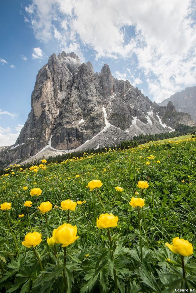 Il Sassolungo dal Mont de Seura. Foto Cesare Re