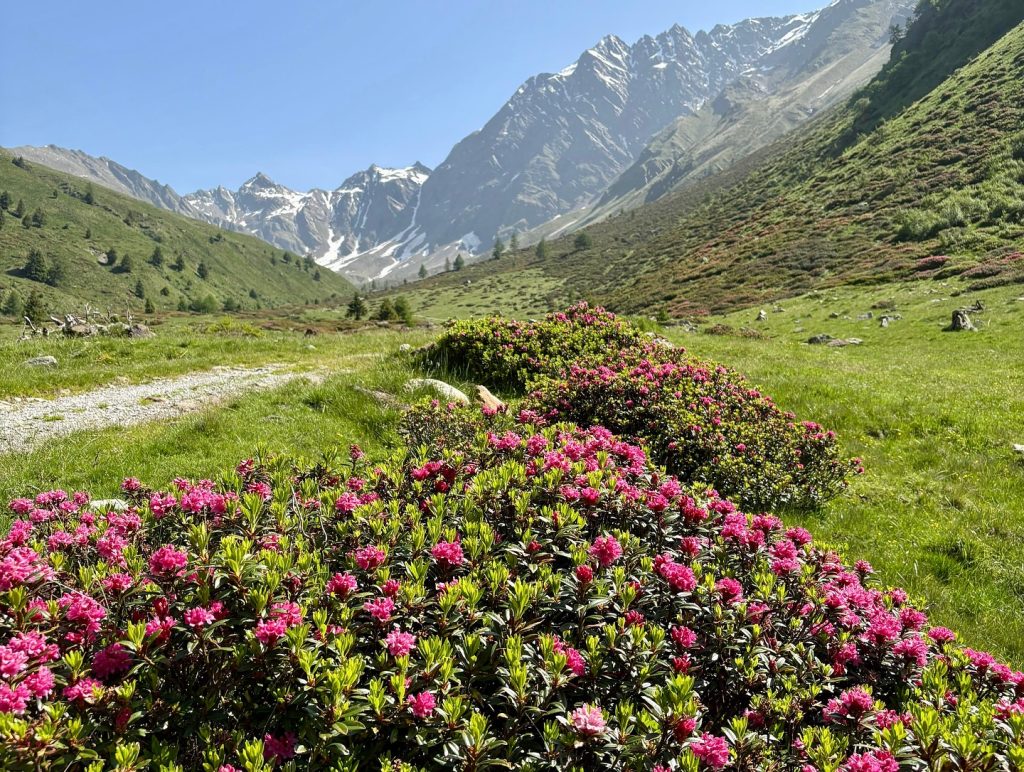 La Valgrande, tributaria della Val Camonica, dove sorge il bivacco Saverio Occhi. FB Vezza d