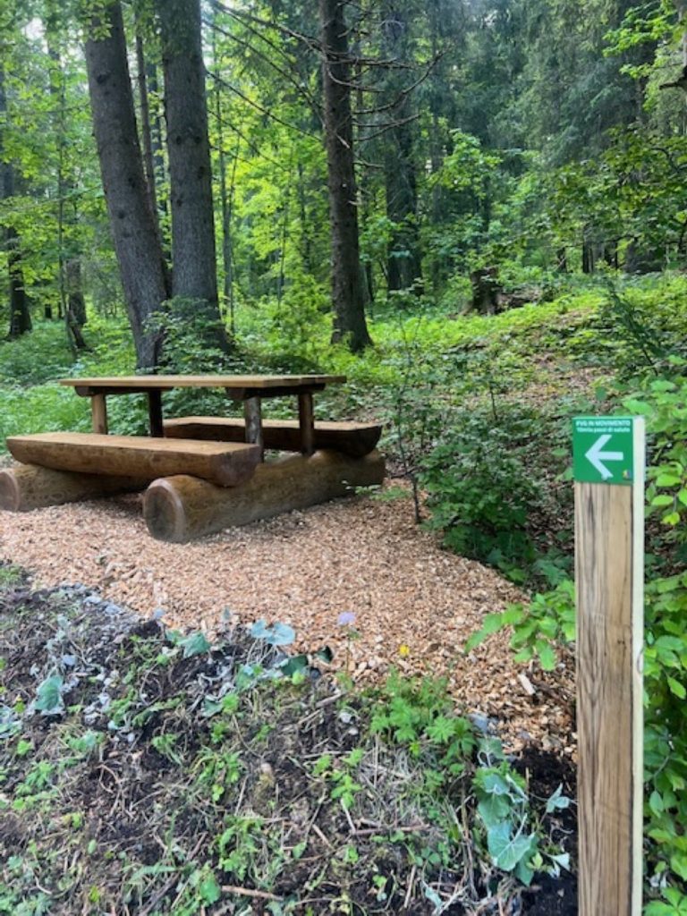 Un sentiero da percorrere senza fretta. Foto Anna Pugliese