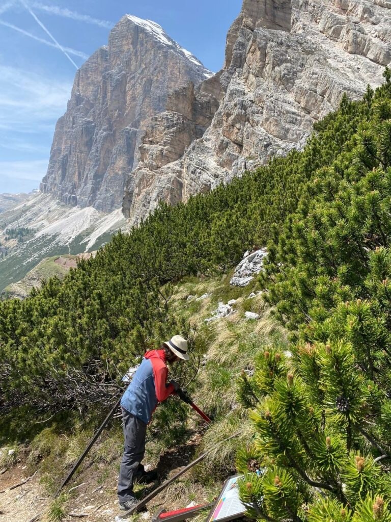 Si sistemano gli ultimi pannelli