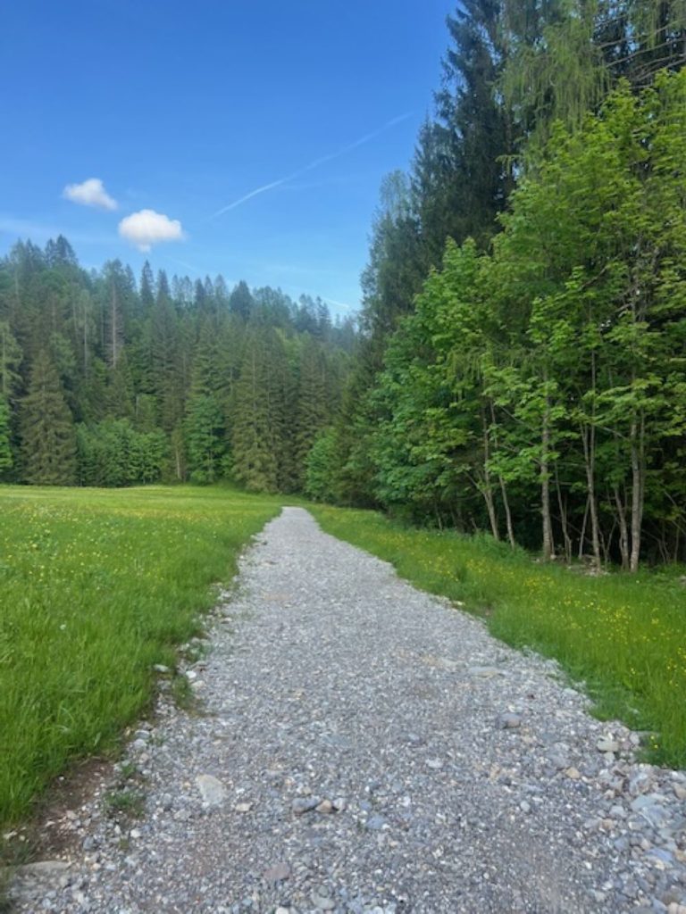 Un percorso alla portata di tutti. Foto Anna Pugliese