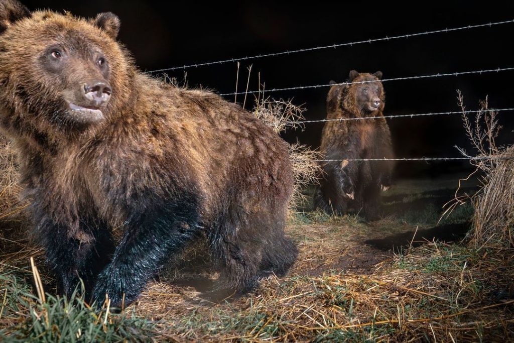 Crossing the line @Rob Green - bigpicturecompetition.org