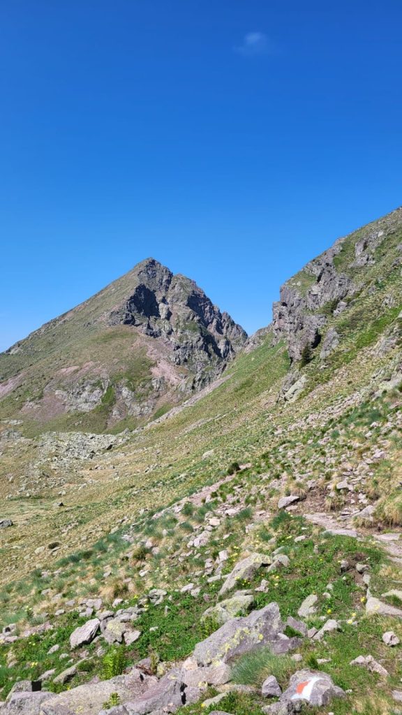 Forcella Ziolera e Cima Ziolera dal sentiero 398. Foto Monica Malfatti