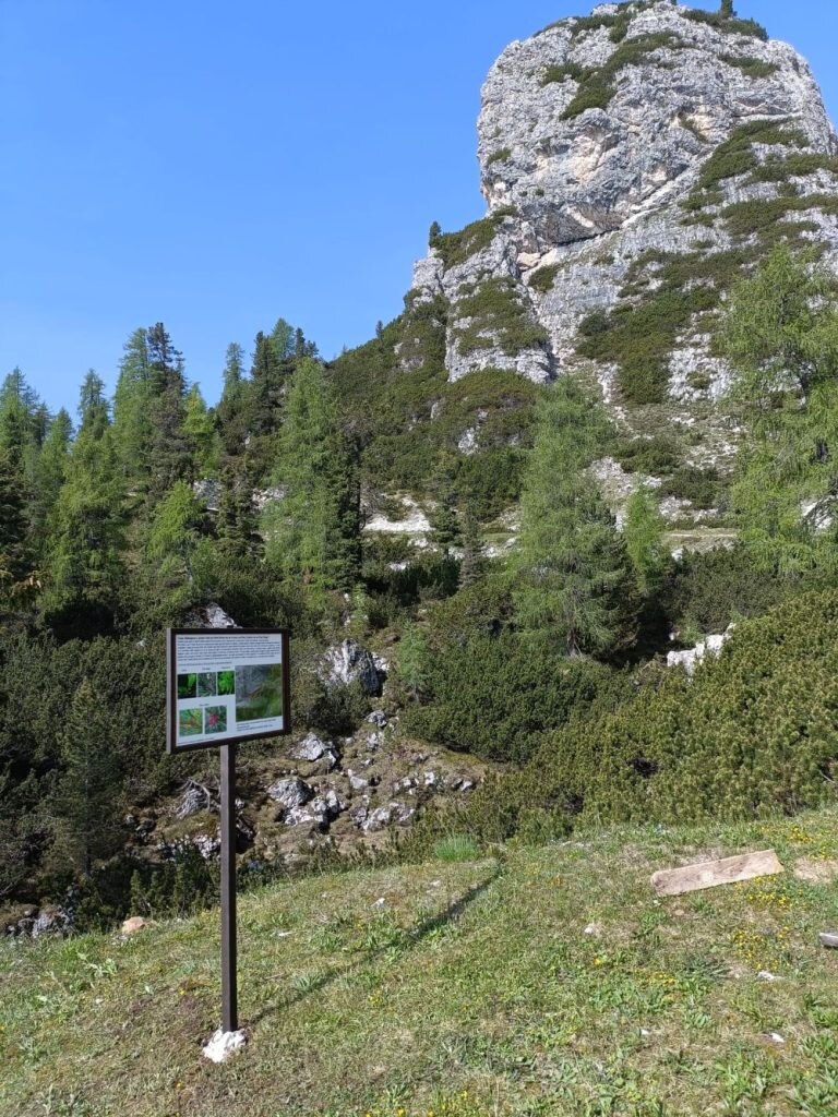 Sono numerosi i pannelli esplicativi lungo il tracciato