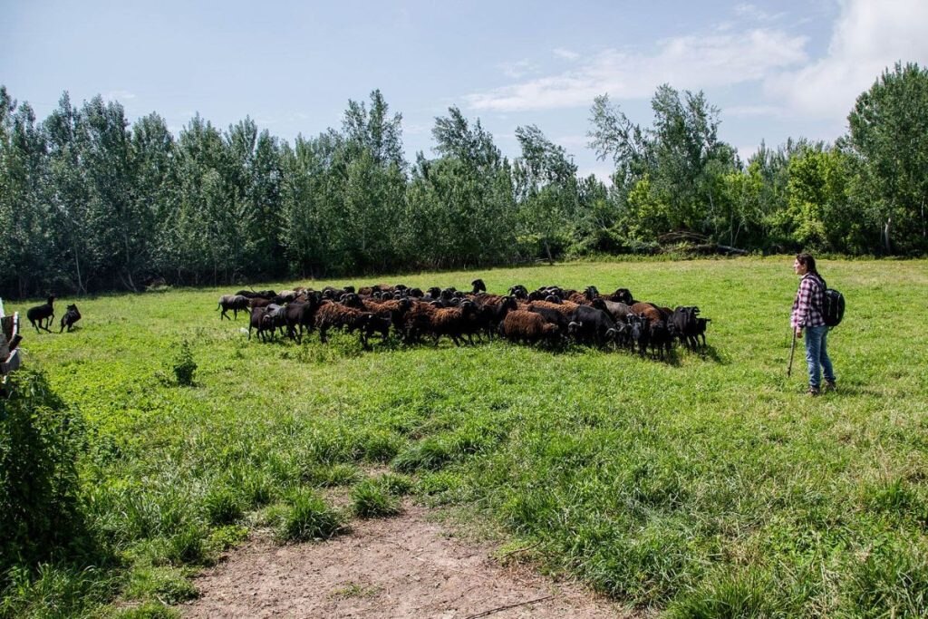 Carolina Leonardi @ Veronica Pierotti