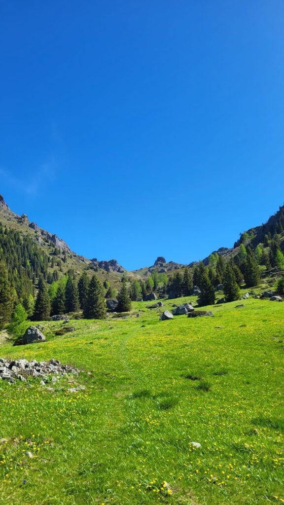 I prati che conducono a Forcella Maddalena, segnavia 398. Foto Monica Malfatti