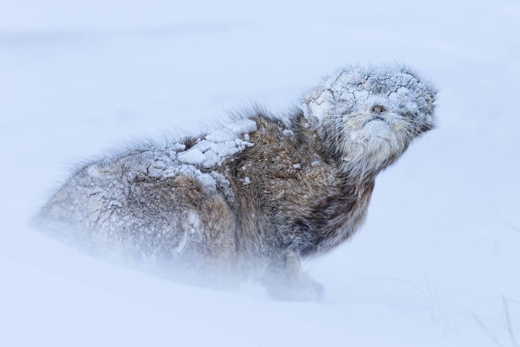 No Eyes @ Mohammad Murad - bigpicturecompetition.org