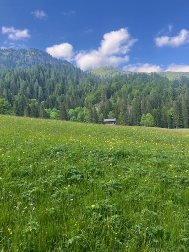 Diecimila passi nel benessere. E nella grande bellezza della Carnia. Foto Anna Pugliese