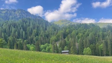 Diecimila passi nel benessere. E nella grande bellezza della Carnia. Foto Anna Pugliese