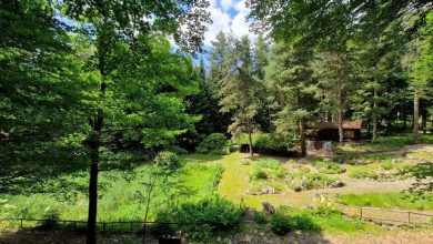 Il Giardino botanico Pietra Corva