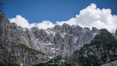 Il panorama prima di entrare nel bosco. Foto Luigi Tassi