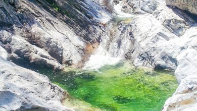 La forra formata dal torrente Poschiadea lungo il nuovo sentiero @ Parco Dolomiti Friulane - Marco Nassivera
