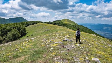 La lunga, e comoda, dorsale che porta alla vetta del Monte Calvelluzzo. Foto Alberto Nardi
