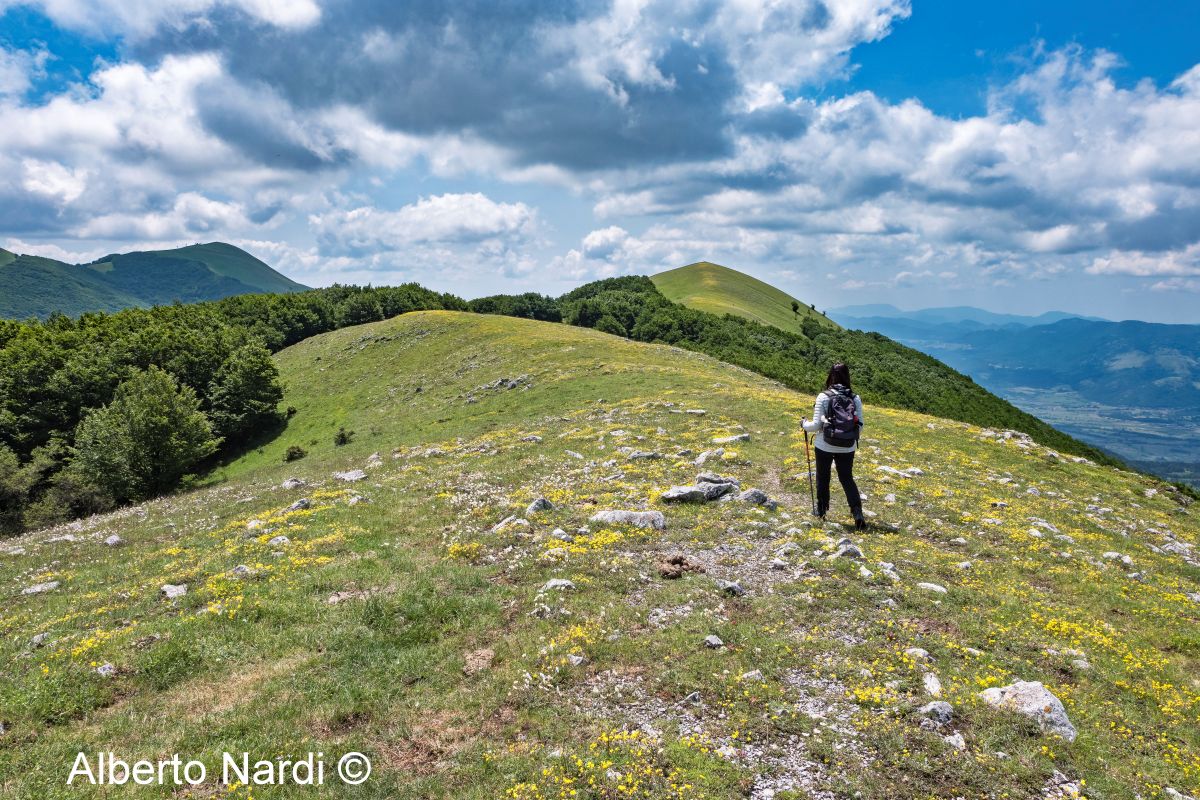 Sul Monte Calvelluzzo, facile cima dell’Appennino lucano