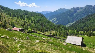 Malga Ziolera, lungo il sentiero 361 che riporta a valle. Foto Monica Malfatti