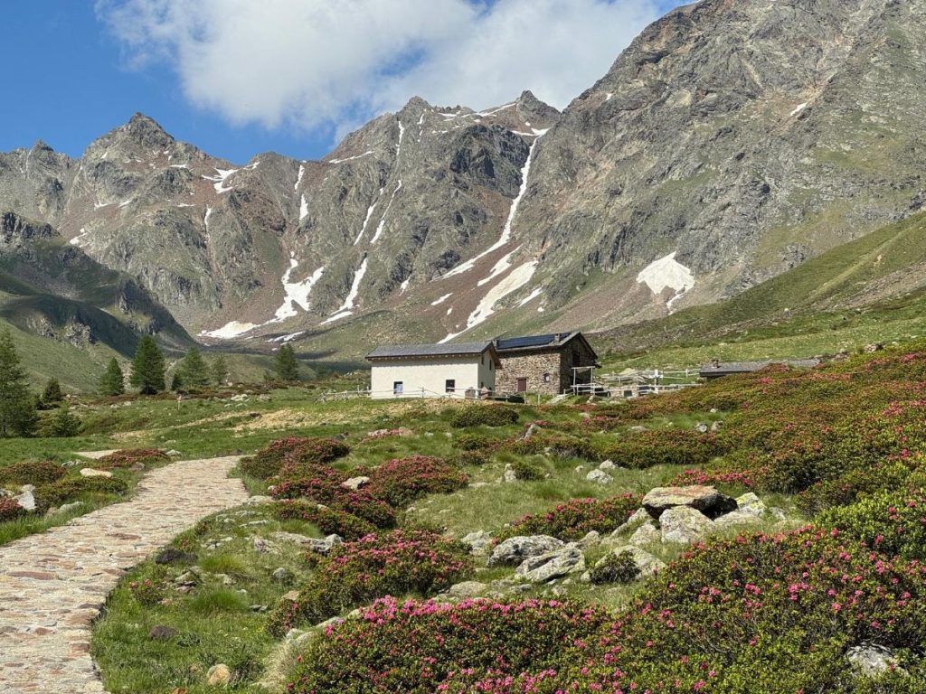 Lo spettacolare scenario che circonda il Bivacco Saverio Occhi, nel Parco Nazionale dello Stelvio