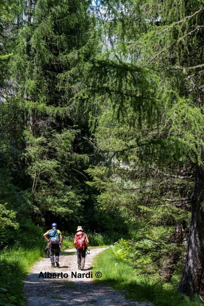 Il sentiero per il Lago di Campo. Foto Alberto Nardi