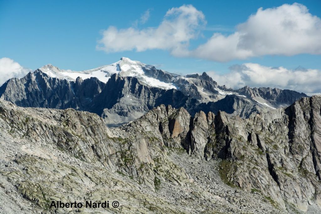 La Presanella vista dalla Bocchetta del cannone. Foto Alberto Nardi