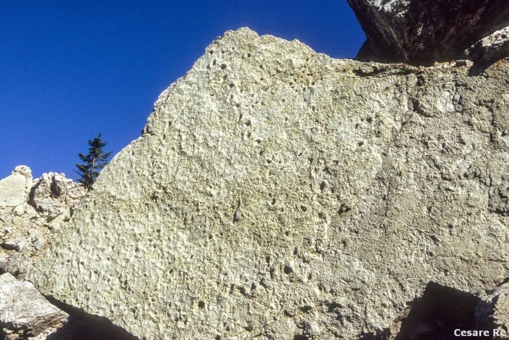 Le orme dei dinosauri alle falde del Pelmetto. Foto Cesare Re