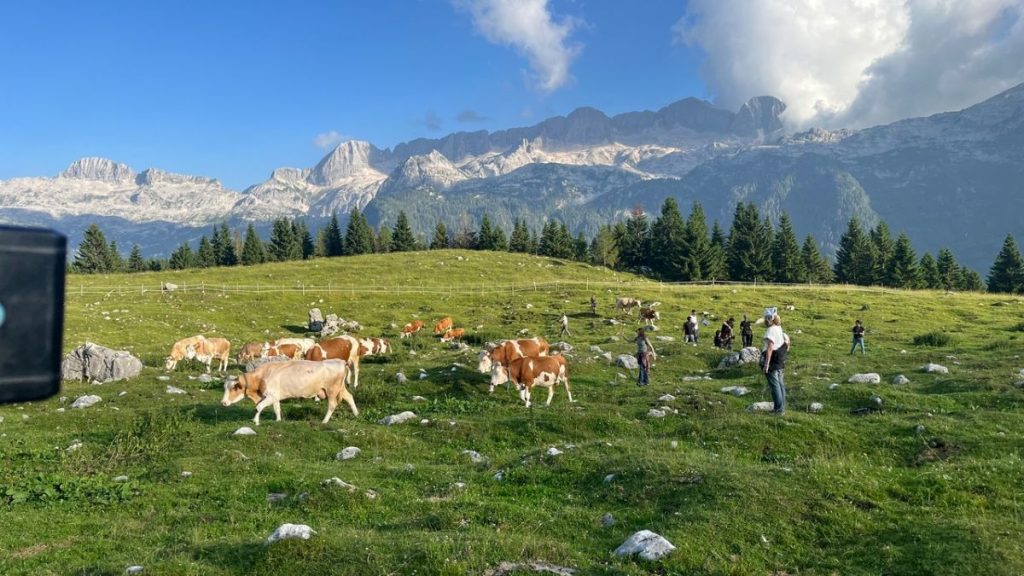 Dal cortometraggio Transumanza