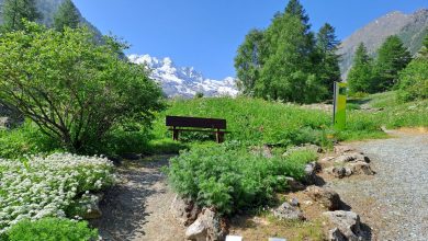 Il Giardino Botanico Alpino Paradisia, a Cogne. @ Archivio PNGP