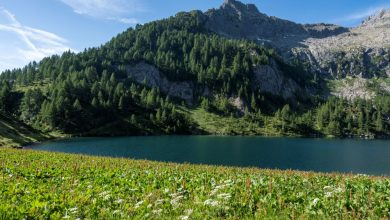 Il Lago di Campo (1944 m), sullo sfondo Cima Breguzzo (2388 m). Foto Alberto Nardi
