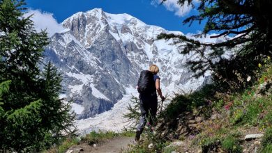 Il Monte Bianco dal rifugio Bertone, foto Stefano Ardito