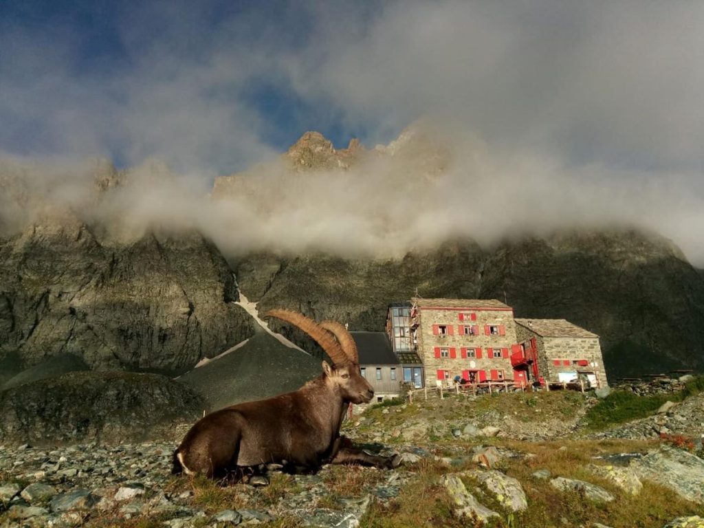 Il Rifugio Quintino Sella ai piedi del Monviso @ Rifugio Quintino Sella