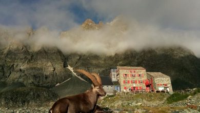 Il Rifugio Quintino Sella ai piedi del Monviso @ Rifugio Quintino Sella
