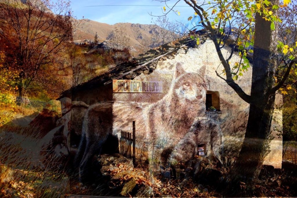 La Biblioteca del lupo, tra i boschi della Valchiusella (TO)