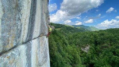 Sulla falesia delle Sassane. Foto Elisabetta Dall'Olio