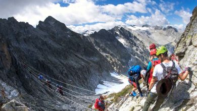 Un tratto del Sentiero dei fiori. Foto Icaro Pigolotti
