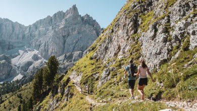 Verso Malga Medalges @ Moling Alex