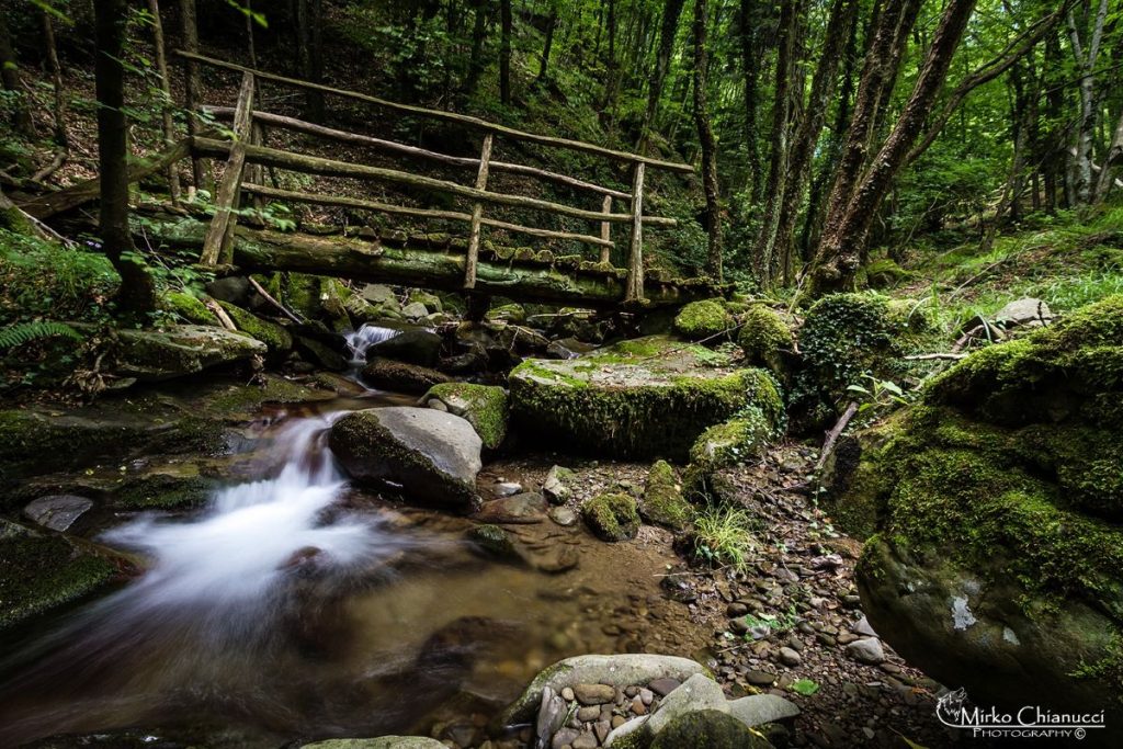 Verso le sorgenti del Bisenzio, nella Riserva Naturale Acquerino Cantagallo @ Mirko Chianucci