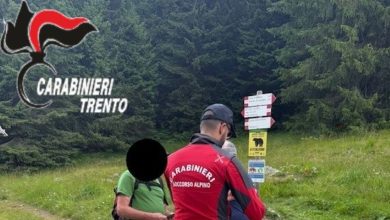I Carabinieri contestano alla guida l'esercizio abusivo della professione @ ANSA