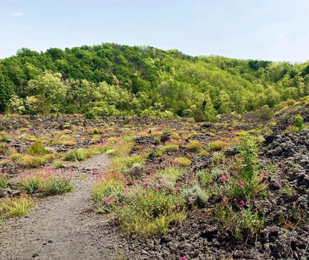 Il cosiddetto Sentiero di Lava, appena riaperto agli escursiuonisti. FB Parco Nazionale del Vesuvio