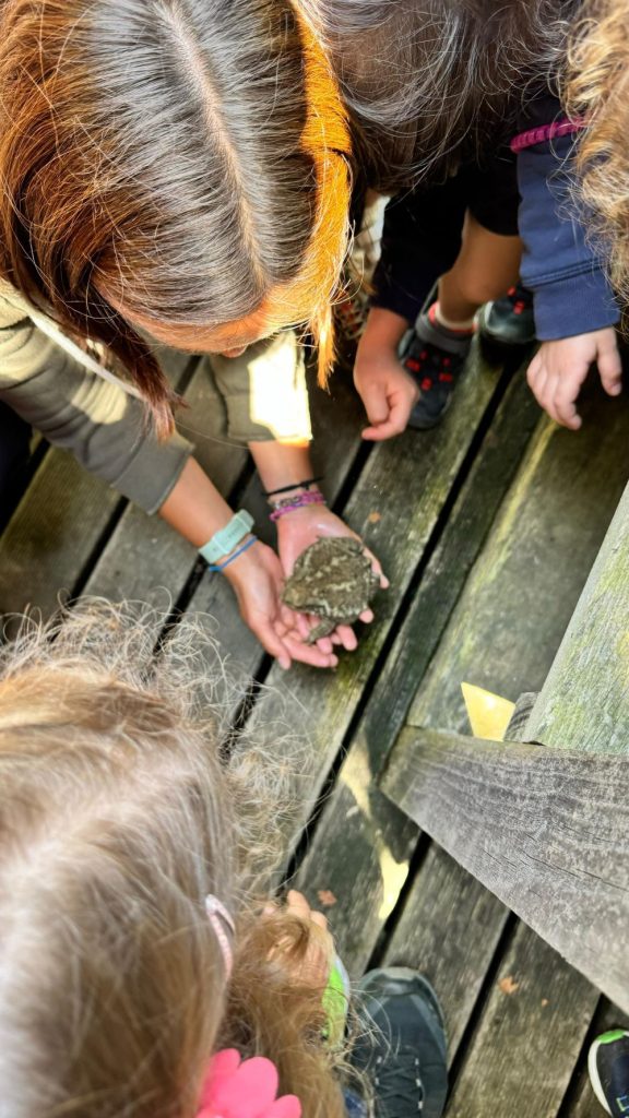 Incontri speciali lungo il sentiero @Anna Flumiani