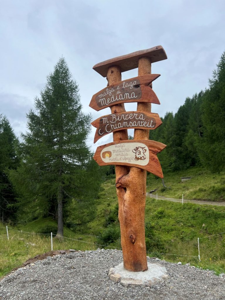 Lungo il nuovo sentiero