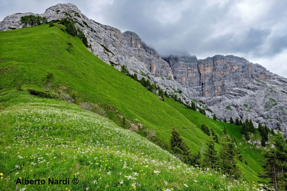 La vista dal Pass de Mura. Sullo sfondo il Sass de Mura, la vetta più alta del Gruppo del Cimonega. Foto Alberto Nardi