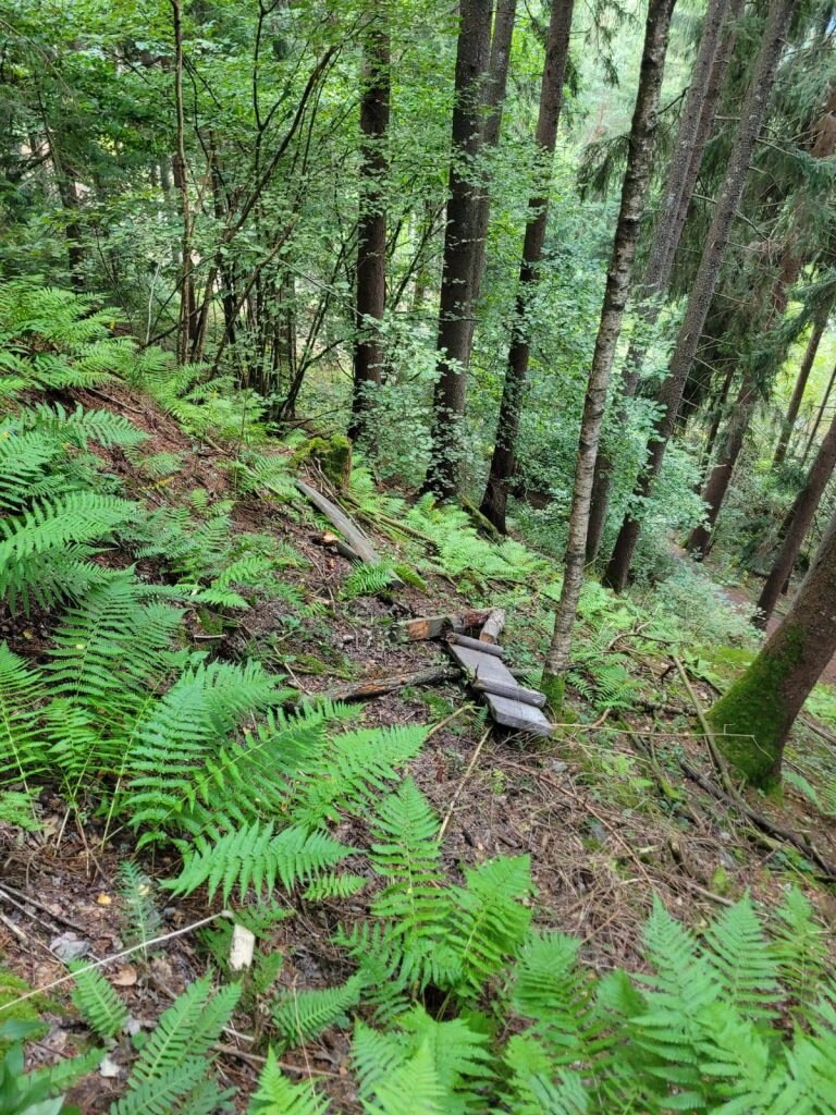 Panchina divelta e gettata nel bosco @ Bürgerliste Taufers 2010