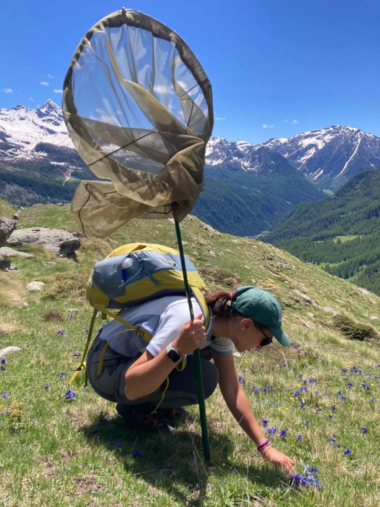 A caccia di farfalle @Anna Flumiani