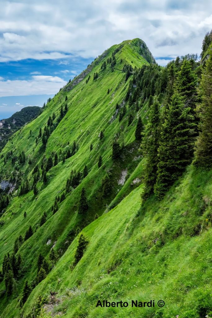 Il Col Sent visto dal PASSO aLVIS. Foto Alberto Nardi