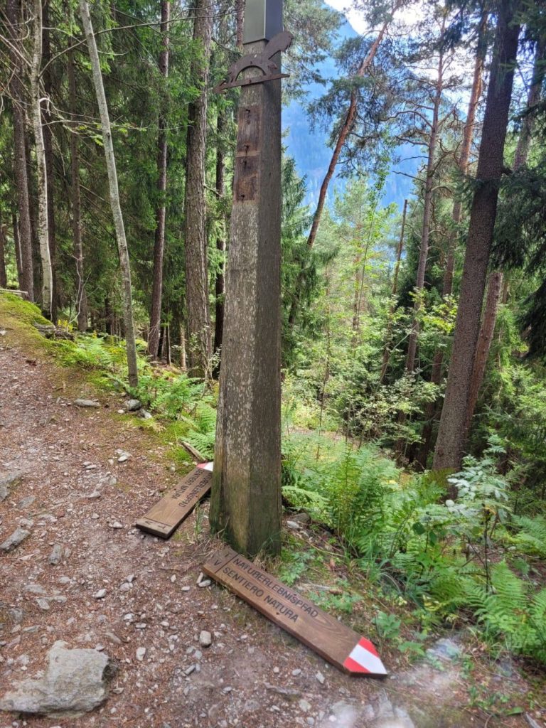 Segnavia @ Bürgerliste Taufers 2010